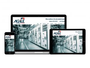 Agile M&E Website